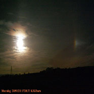 Moon Dog