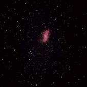 M1